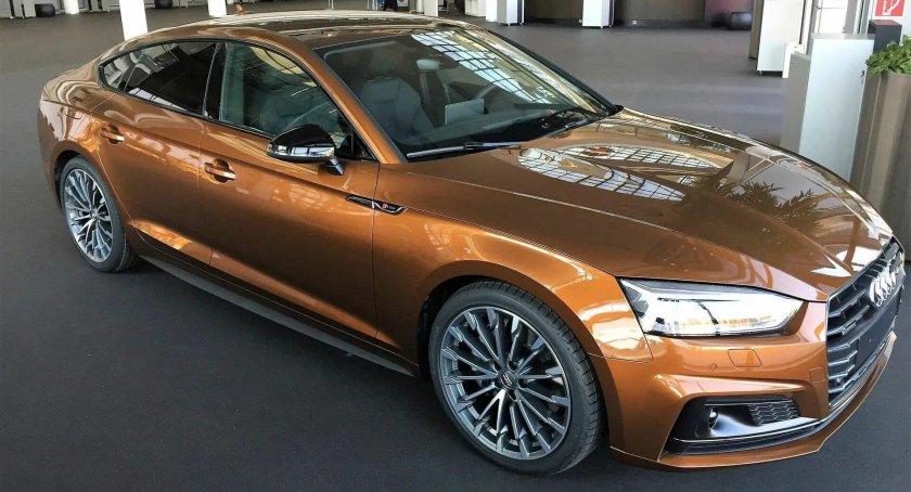 Ipanema Brown Audi Exclusive