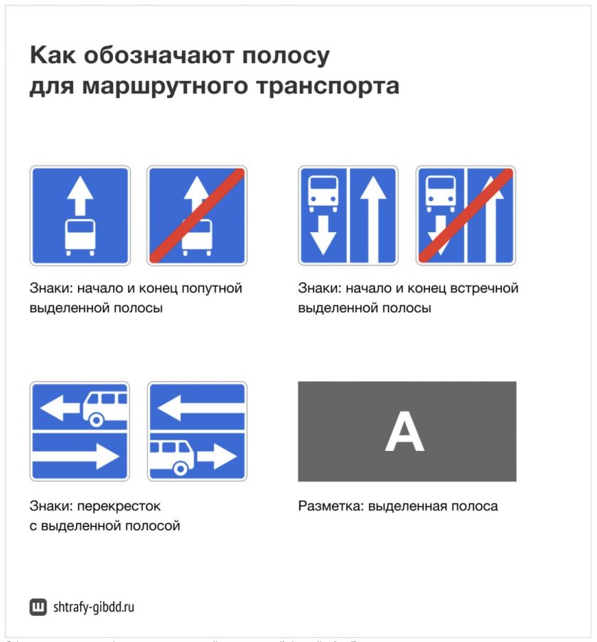 Знак полоса общественного транспорта