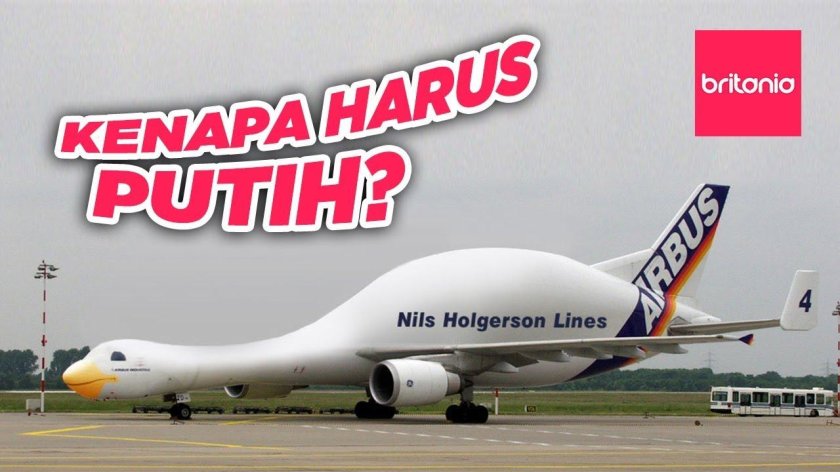 Смешные самолеты