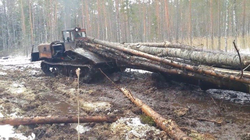 Трелёвка леса на ТДТ 55