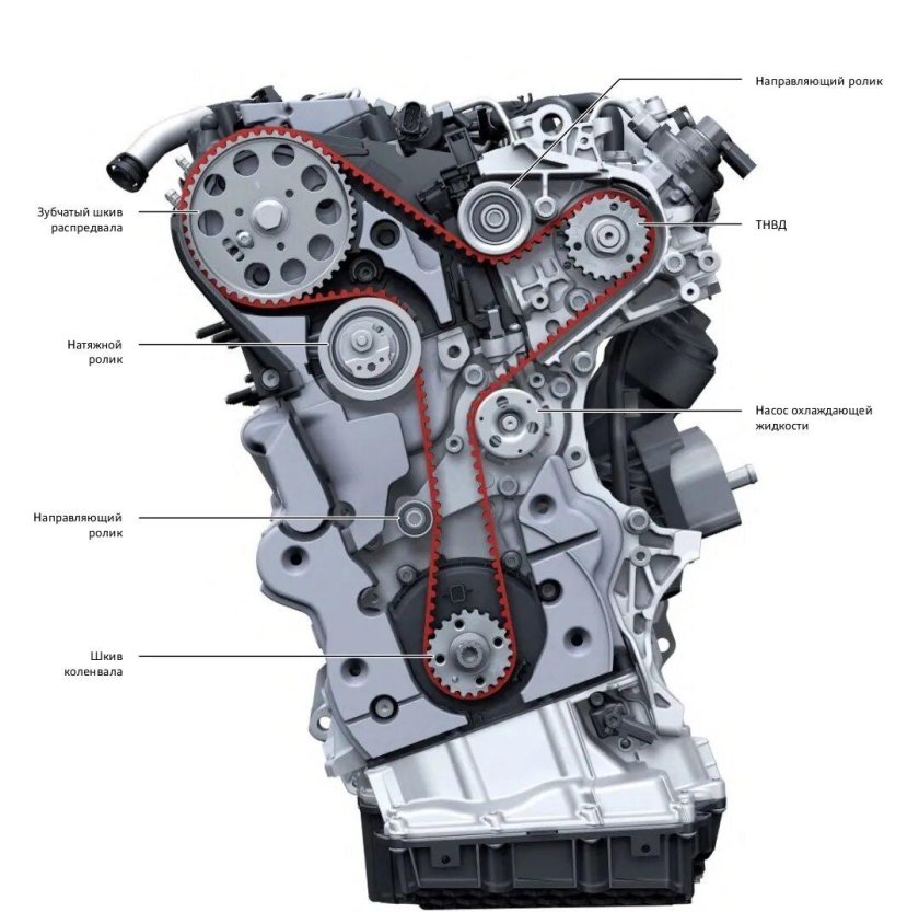 Шкода Октавия а5 ремень ГРМ