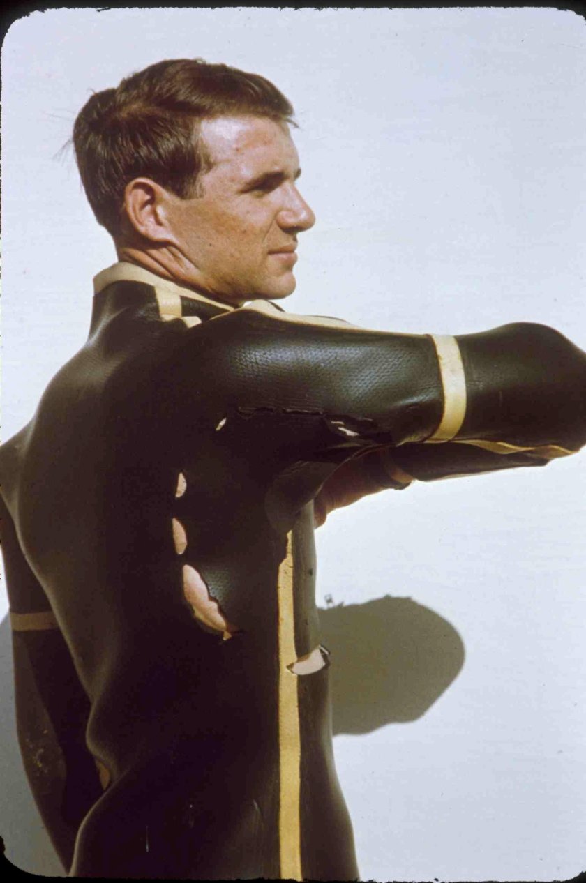 Родни Фокс нападение акулы