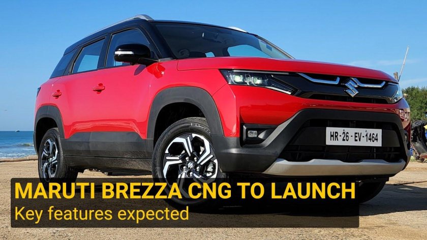 Maruti suzuki india ltd