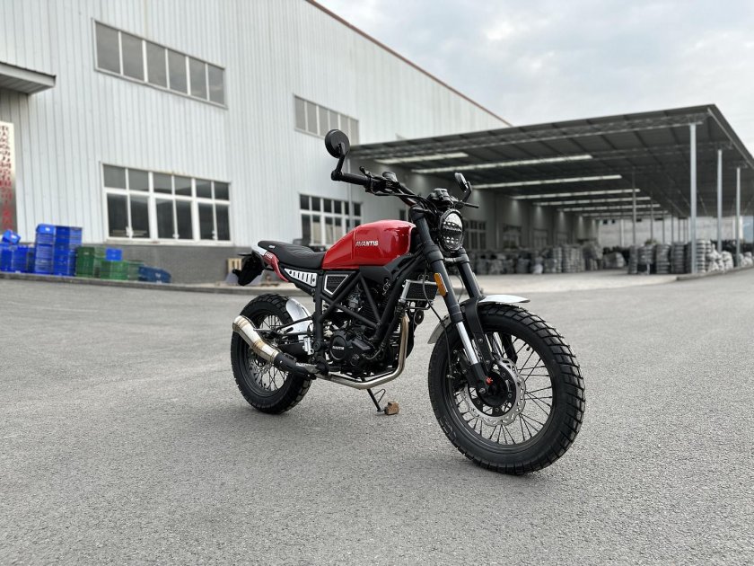 Avantis Scrambler City 250