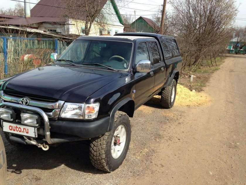 Great wall deer 1996 2013