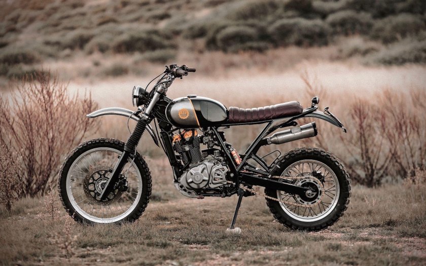 Suzuki Scrambler