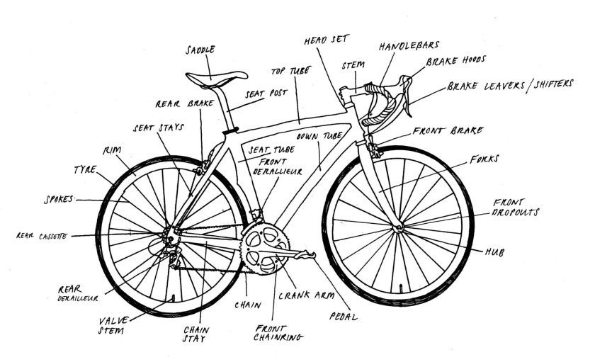 Принципиальная схема устройства велосипеда