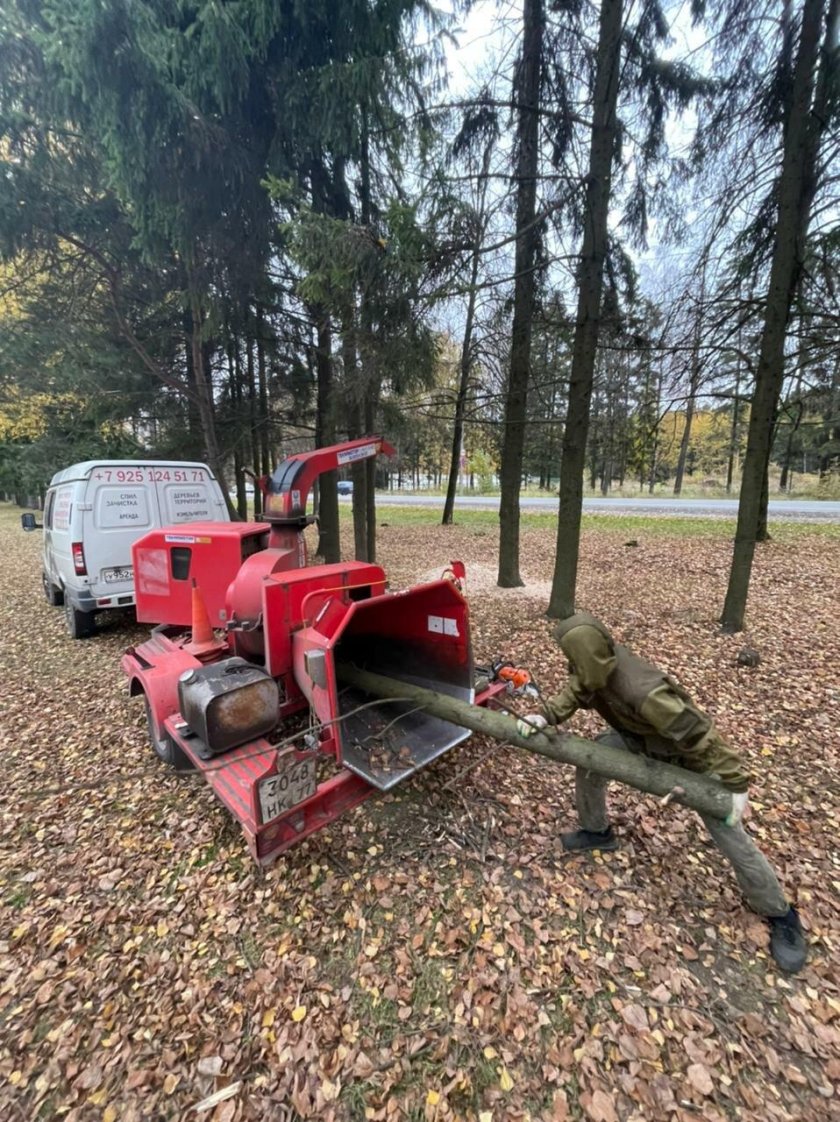 Измельчителя дерева DH-50