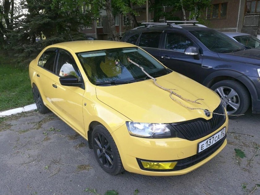 Шкода Рапид желтая