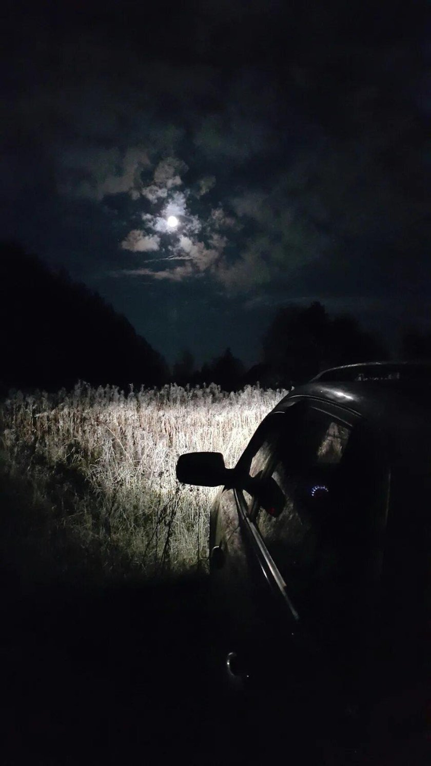 Дорога машин лес ночь