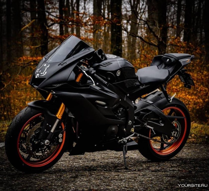 Ямаха р1 и Кавасаки