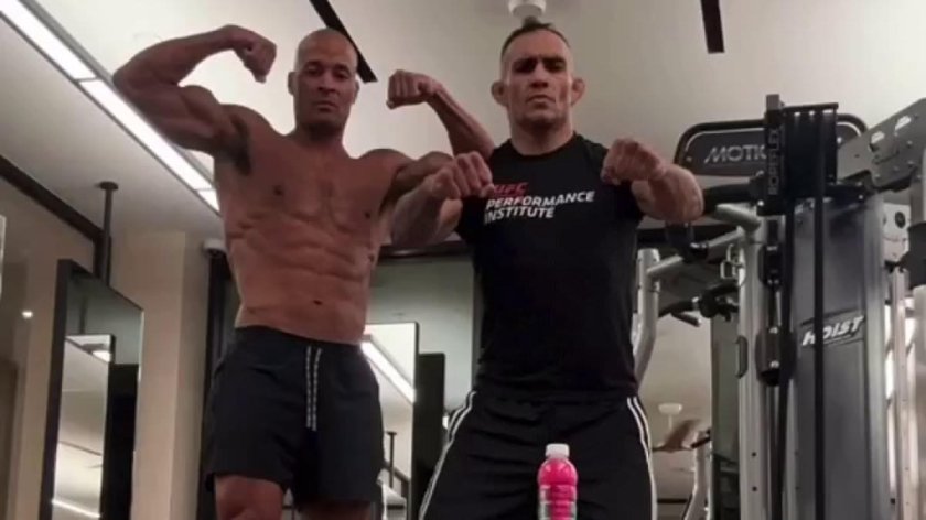 Тони Фергюсона vs Пэдди Пимблетт UFC 296