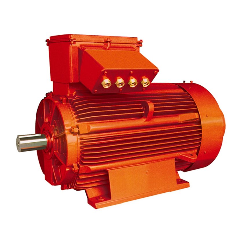Взрывозащищенный электродвигатель