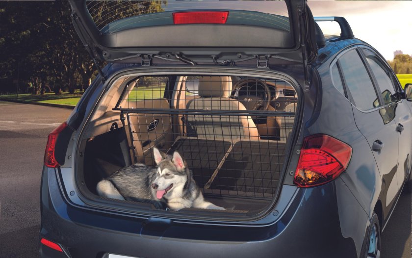 Сетка в багажник Киа СИД