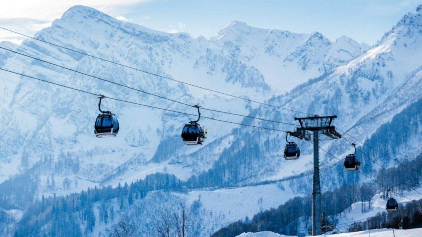 Канатка роза Хутор