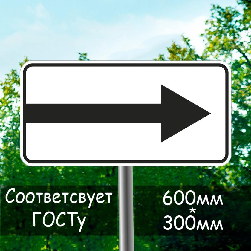 Знак дорожный 8.3.1 \ направление действия\