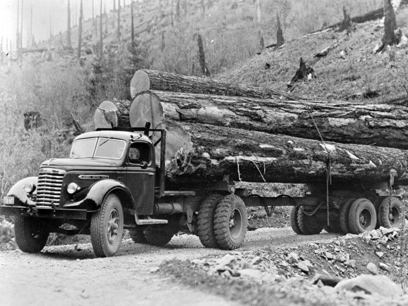 МАЗ-509 лесовоз