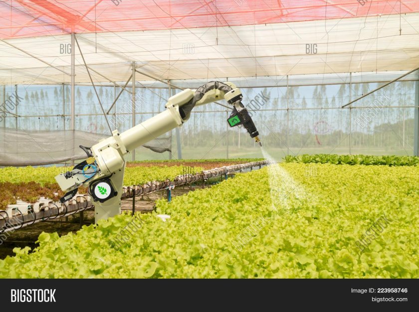 Роботы в сельском хозяйстве