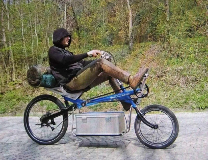 Ринцлер лигерад