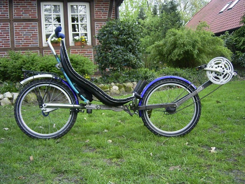 Лигерад питон