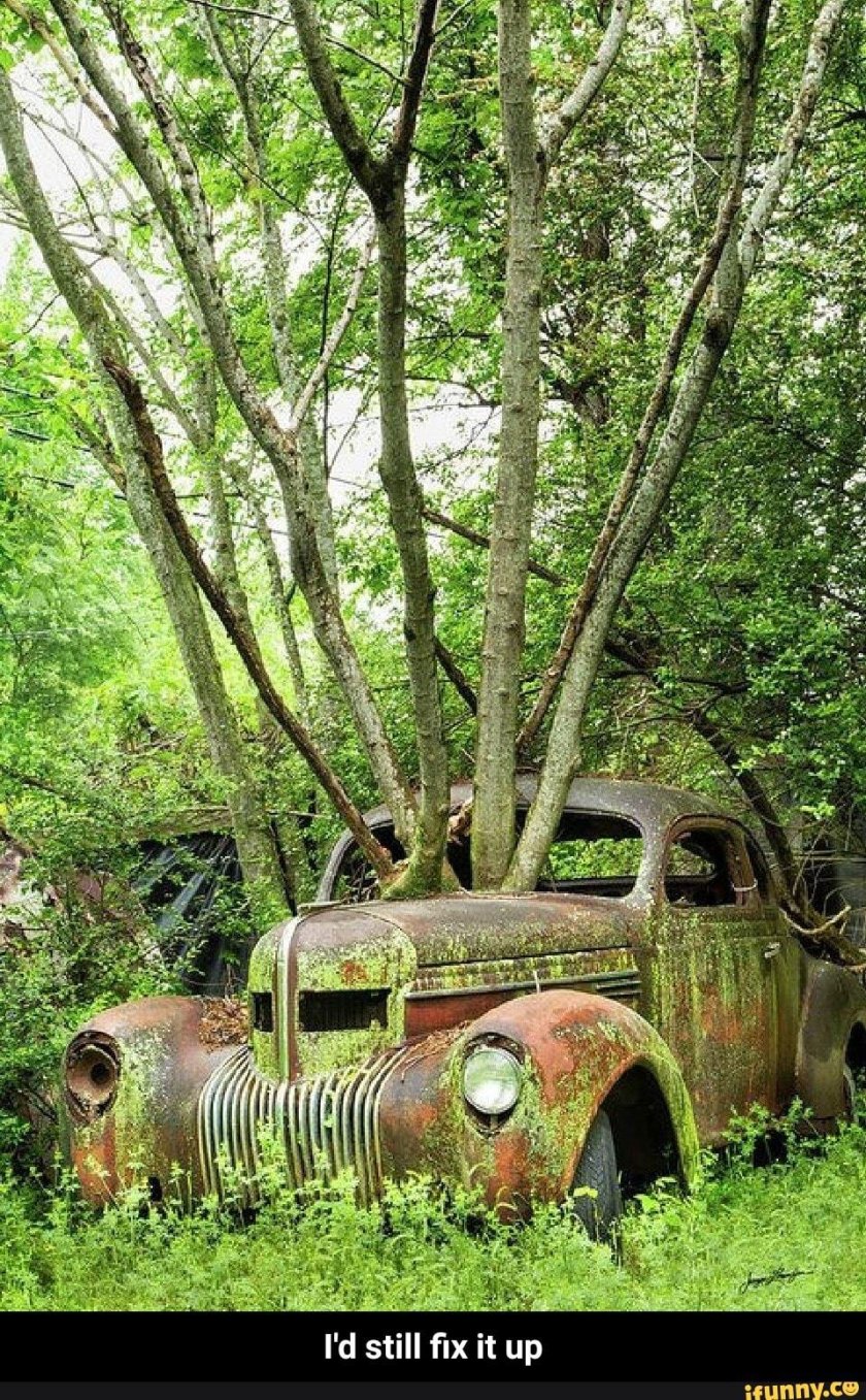 Зеленая БМВ