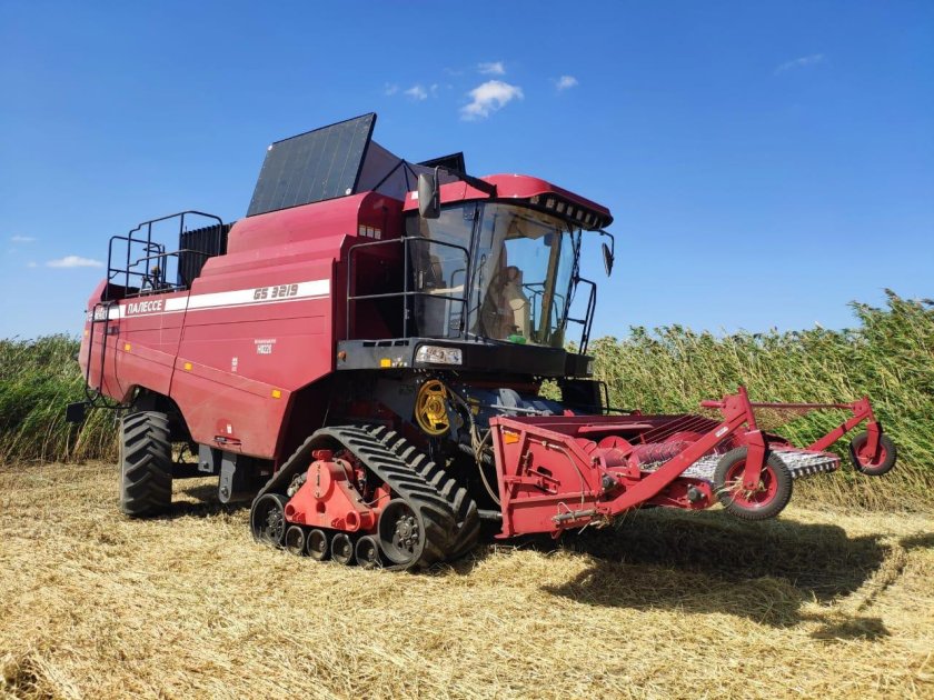 Палессе gs3219