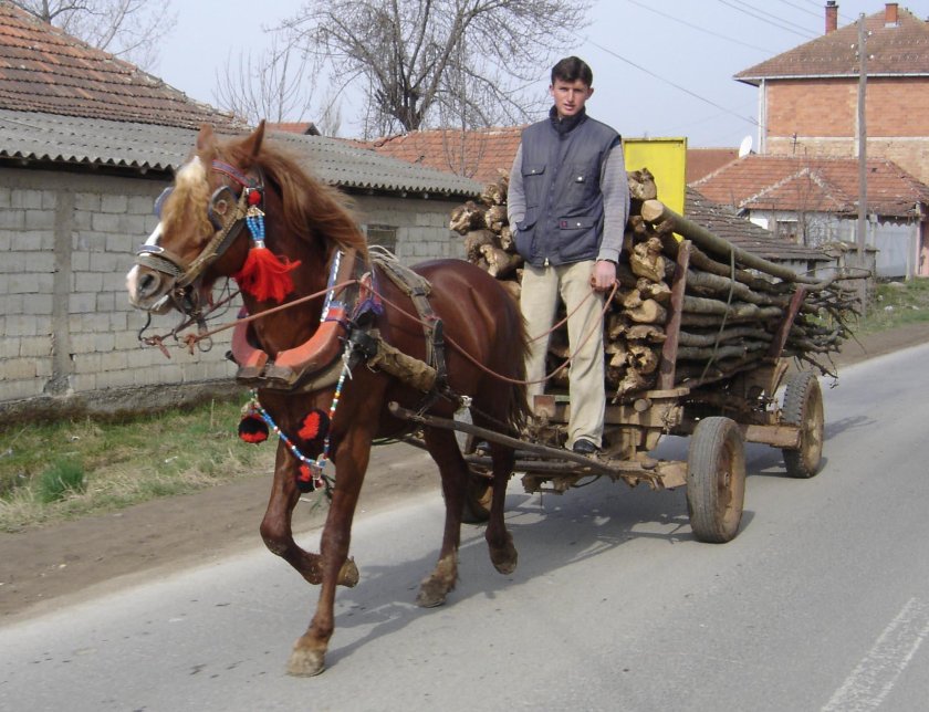 Конь с повозкой