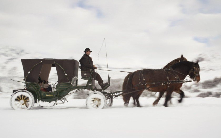 Облучок кибитки