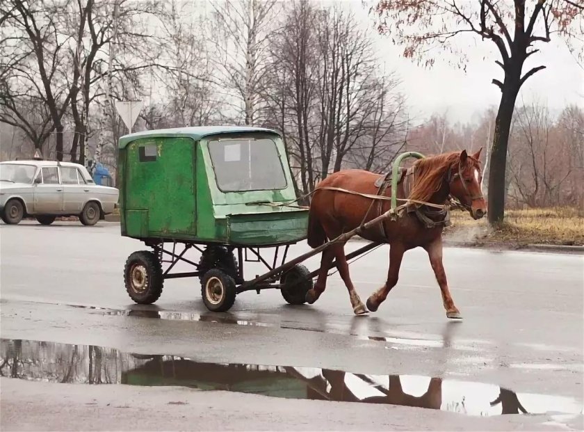 Лошадь с повозкой