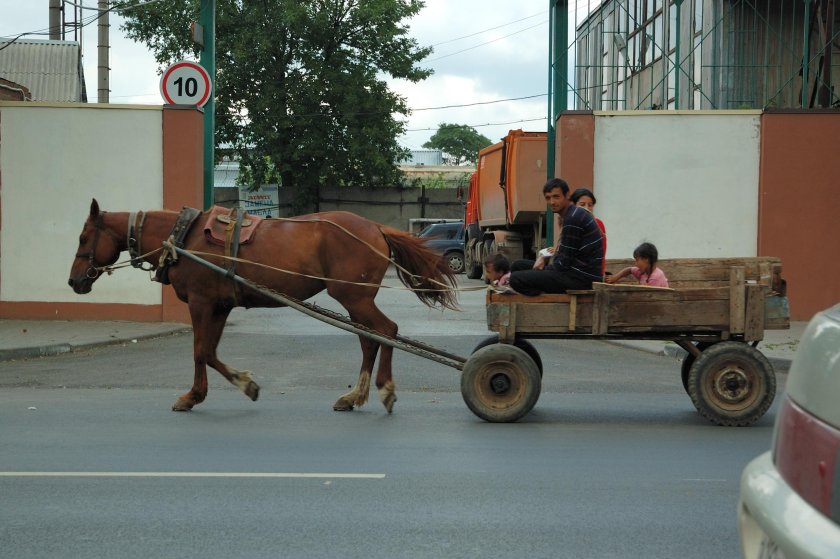 Конь с повозкой