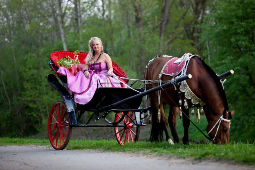 Карета двуколка