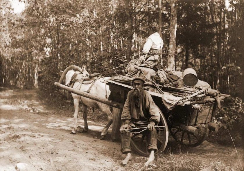 Самули Паулахарью Ингерманландия