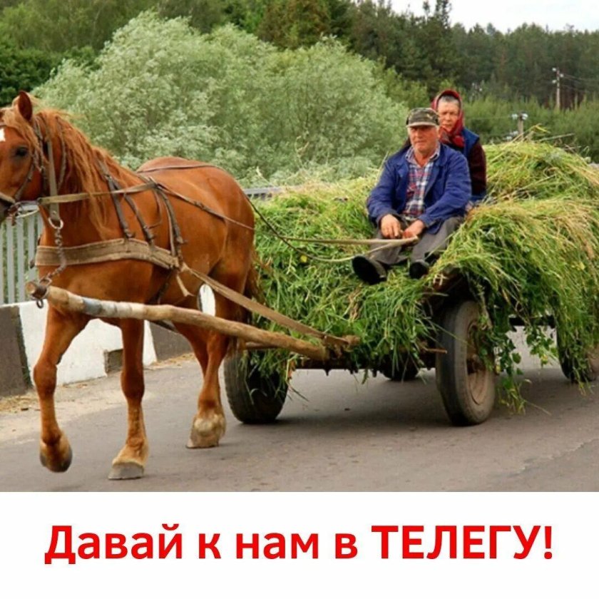 Телега с лошадью