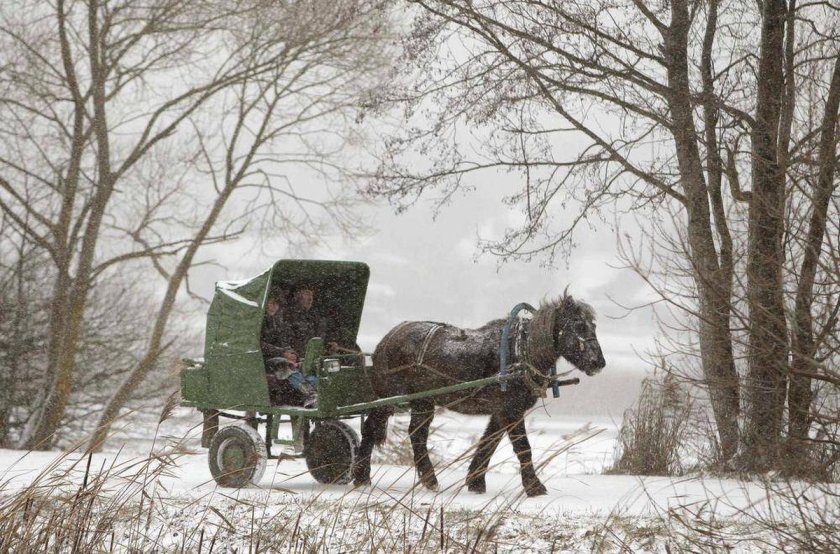 Кибитка 19 век Россия