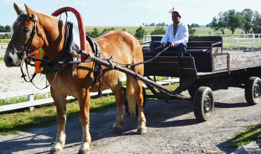 Оглобельно постромочная запряжка