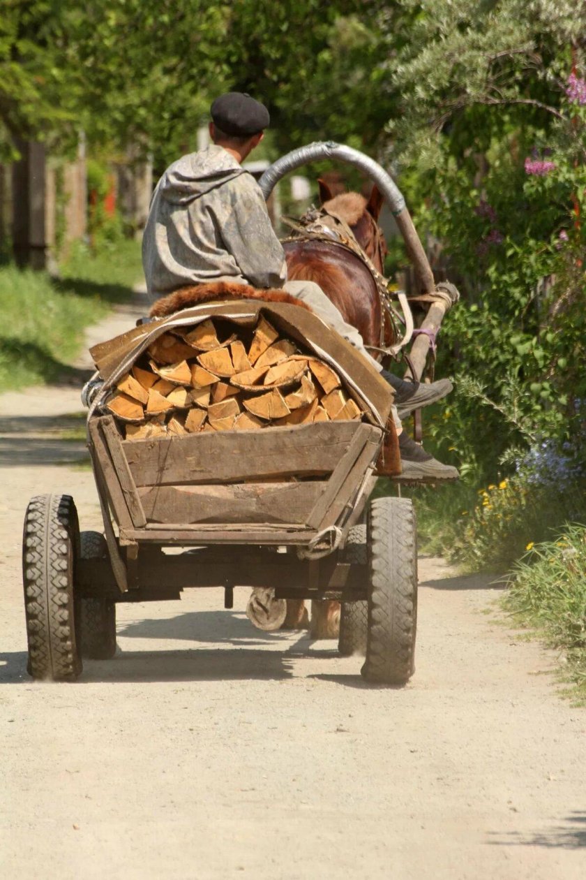 Телега дров