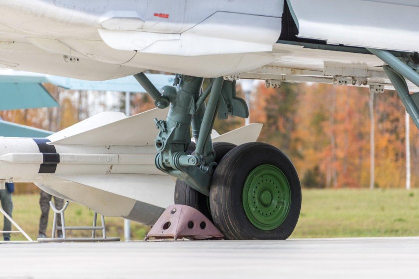 Стойка шасси