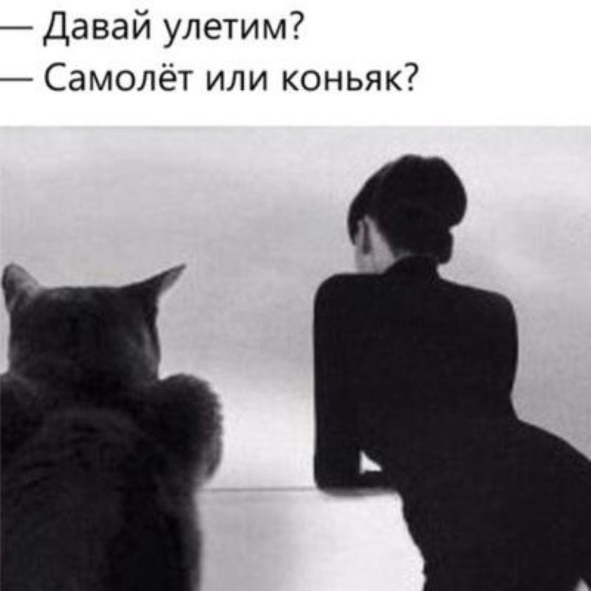 Карлашова Лариса