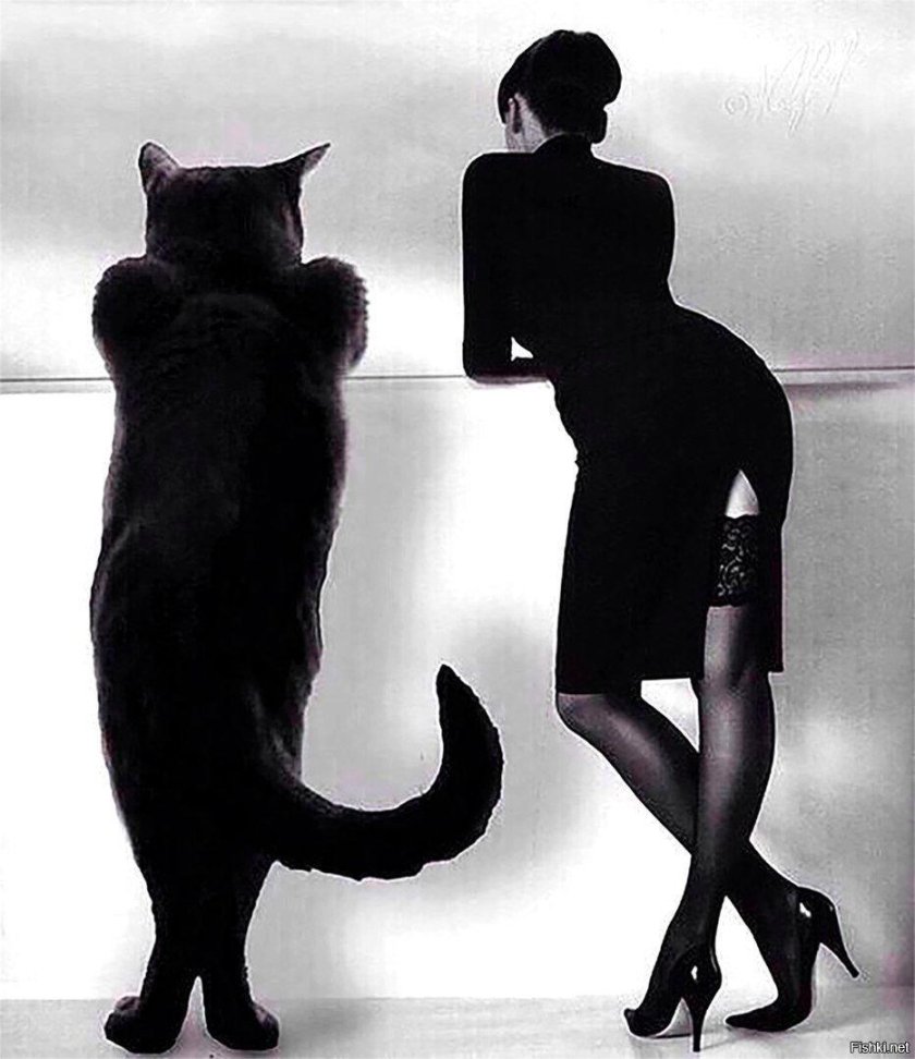 Кот Бегемот и Маргарита фото