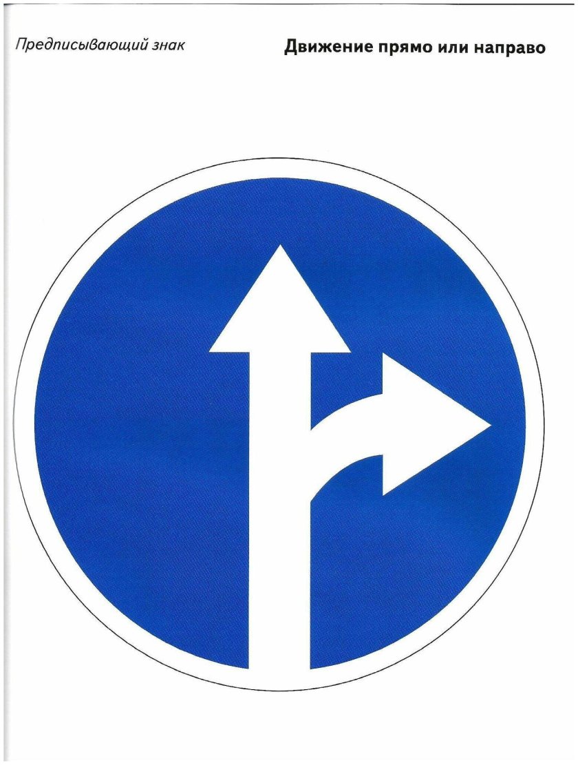 Дорожнынзнаки для детей