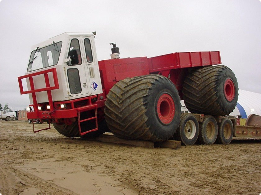 Формост хаски 8