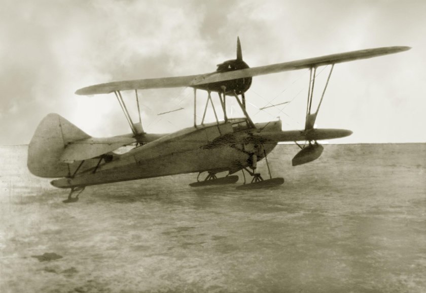 Григорович Дмитрий Павлович гидросамолет