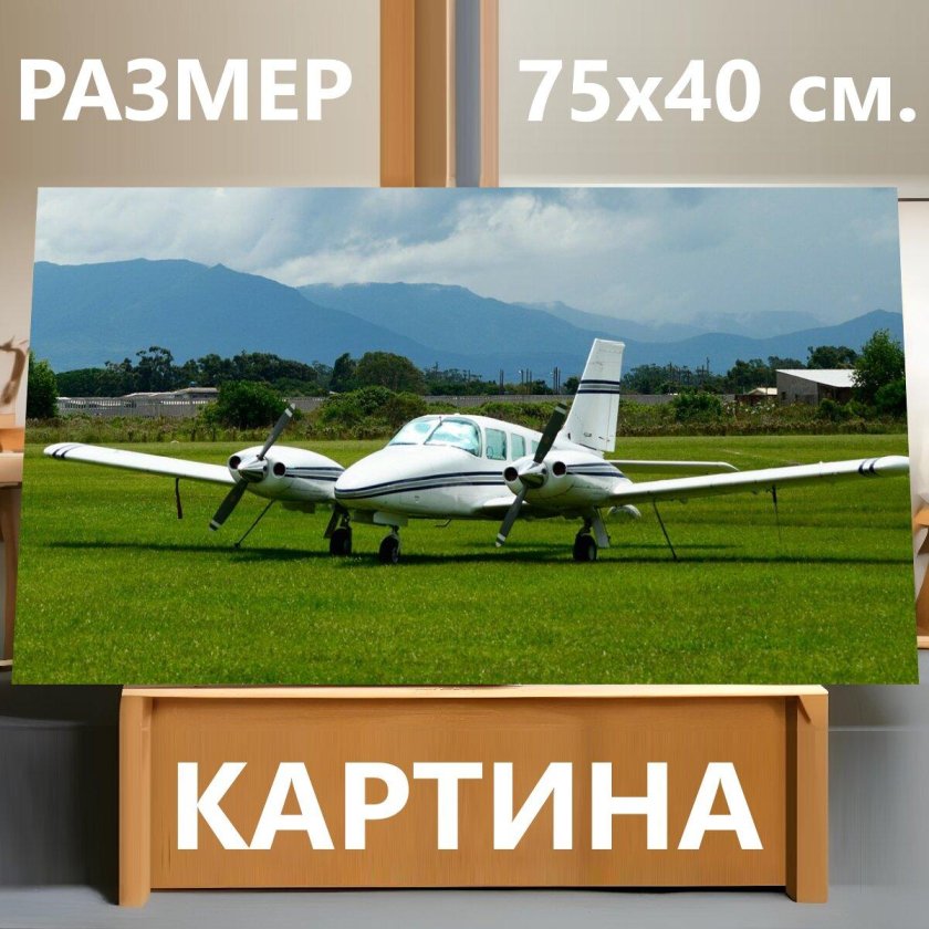 Cessna низкоплан