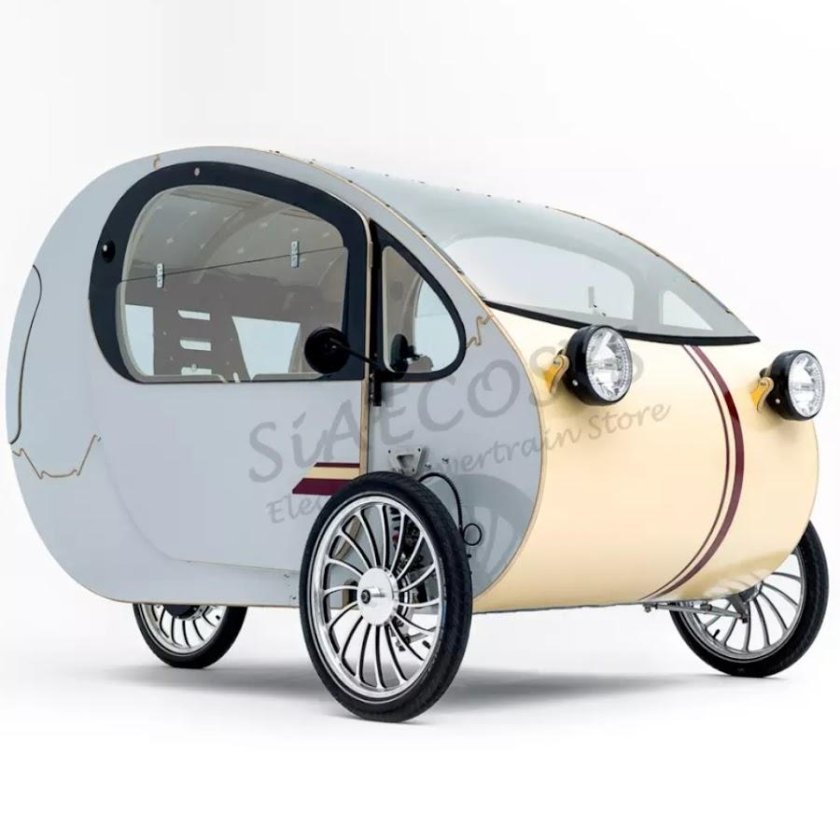 Electric Tricycle l3ysaezb7mh027567