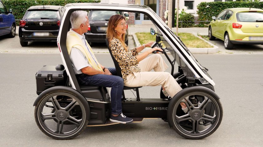 Био гибрид Шеффлер