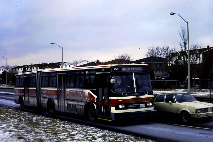 Икарус американский