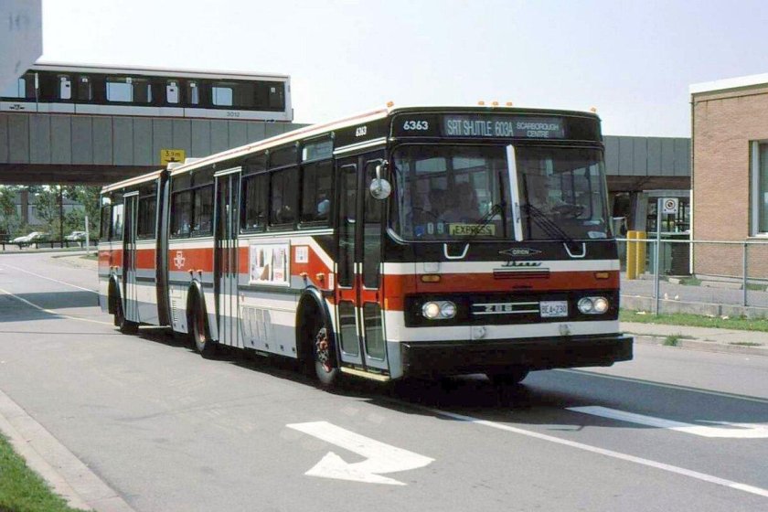 Икарус американский