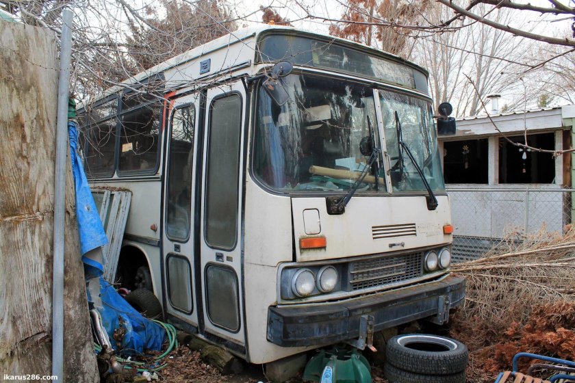 Икарус в США