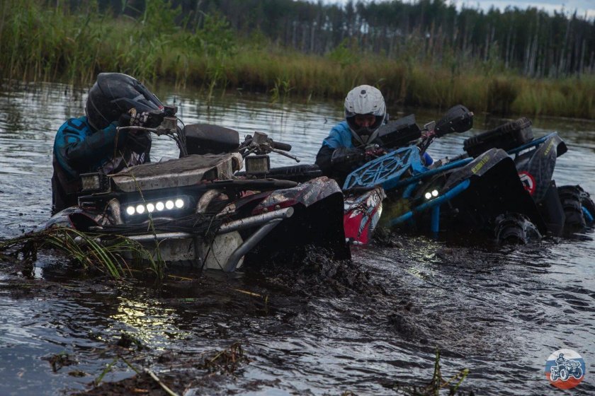 Квадро трофи