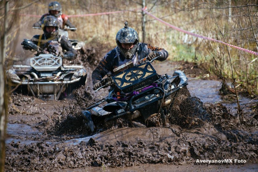 Квадро трофи